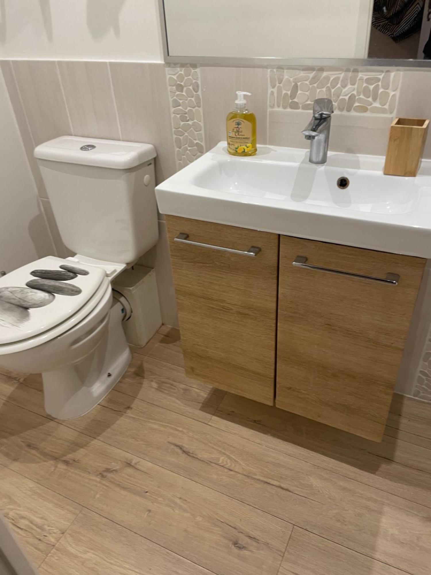 La Maison De Tedone 泰克河畔阿尔莱 外观 照片